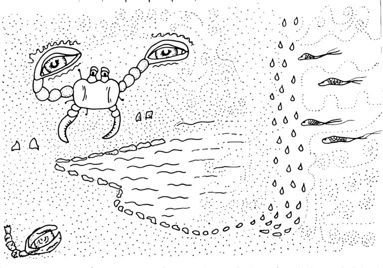 Black and white marker illustration of a crab on the beach – minimalist animal art with expressive lines and natural texture.